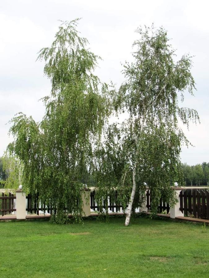 Hotel And Restaurant Complex Lubokray Pereyaslav-Khmelʼnytsʼkyy Zewnętrze zdjęcie